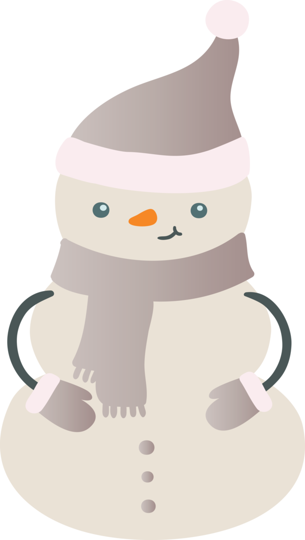 Transparent Christmas Flightless bird Birds Character for Snowman for Christmas