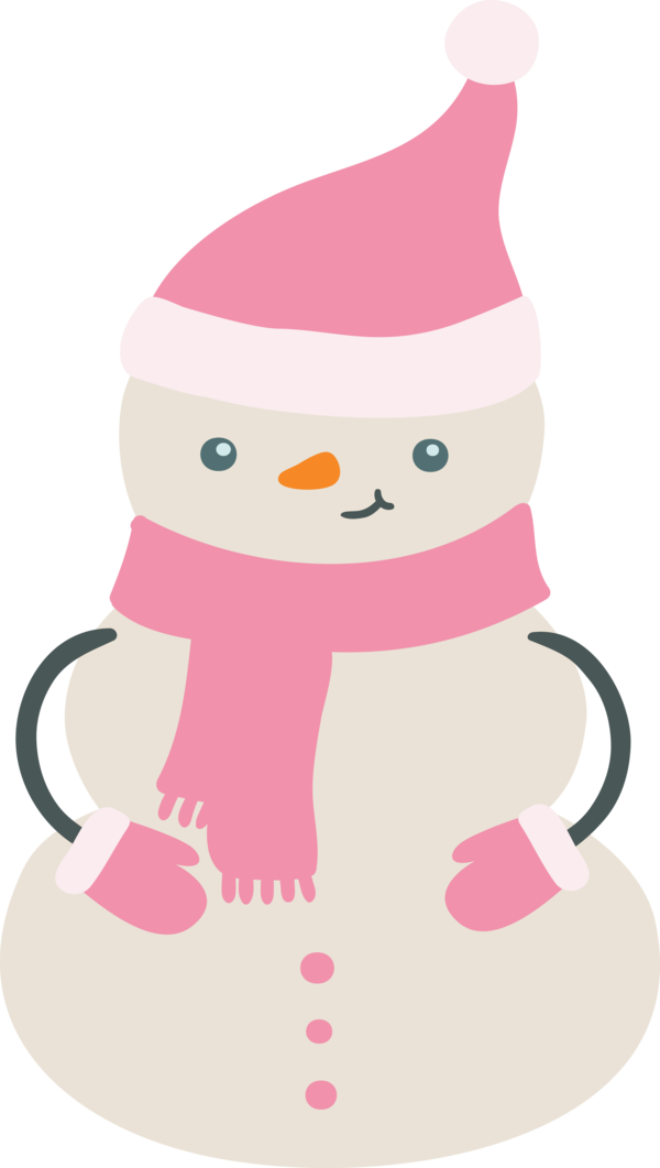 Transparent Christmas Character Pattern Biology for Snowman for Christmas