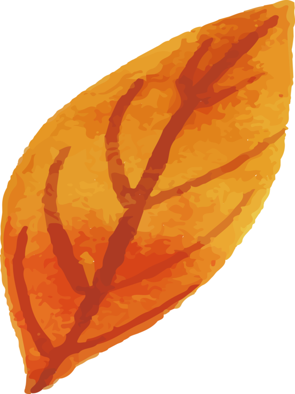 Transparent Thanksgiving Commodity for Fall Leaves for Thanksgiving