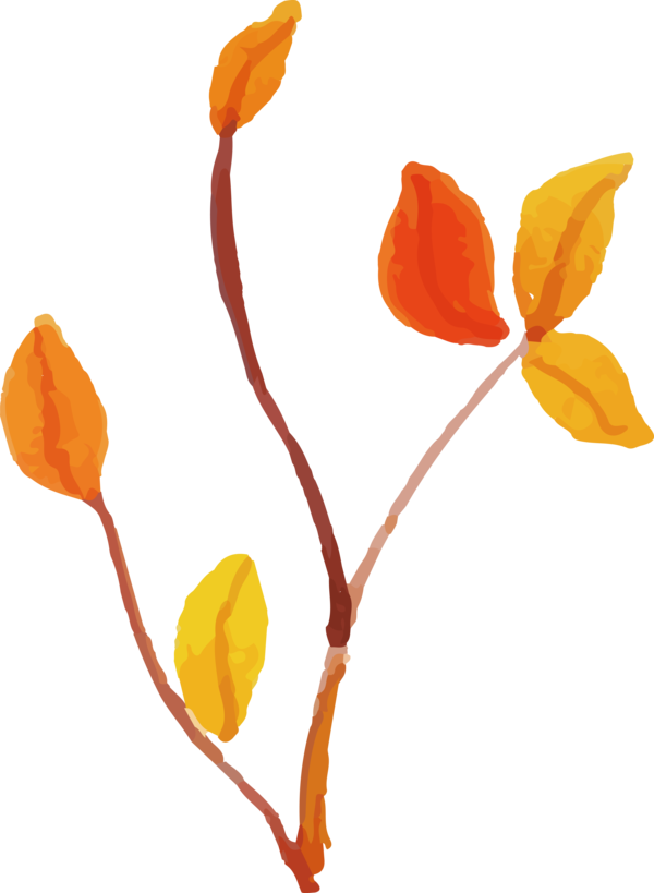 Transparent Thanksgiving Plant stem Petal Cut flowers for Fall Leaves for Thanksgiving