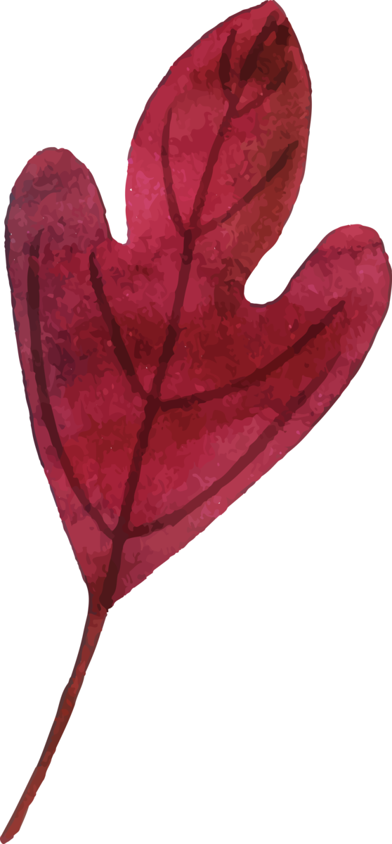 Transparent Thanksgiving Petal Leaf Valentine's Day for Fall Leaves for Thanksgiving