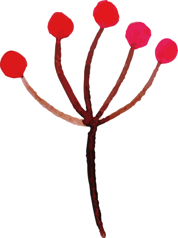 Transparent Thanksgiving Plant stem Petal Twig for Fall Leaves for Thanksgiving