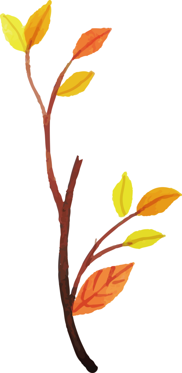Transparent Thanksgiving Plant stem Twig Leaf for Fall Leaves for Thanksgiving