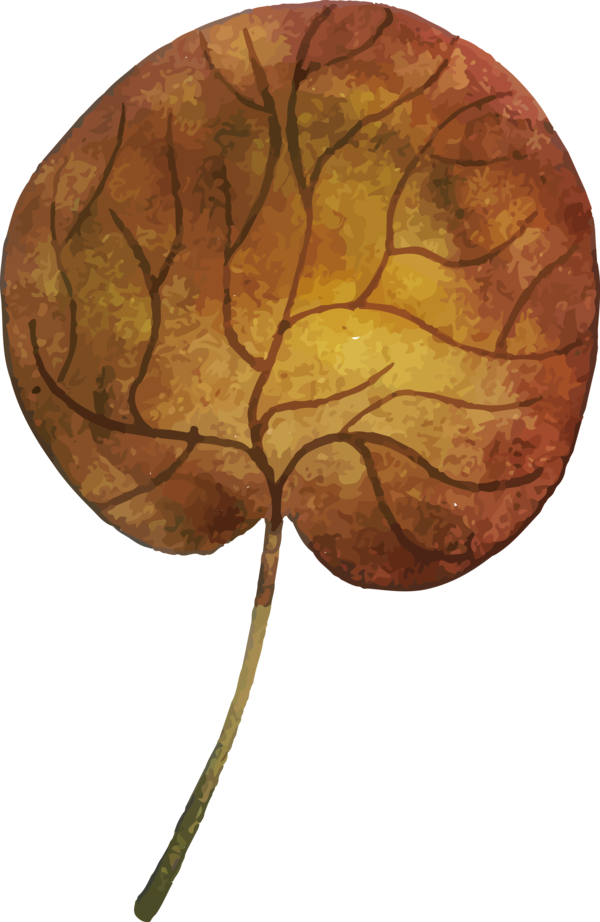 Transparent Thanksgiving Leaf Plant stem Tree for Fall Leaves for Thanksgiving