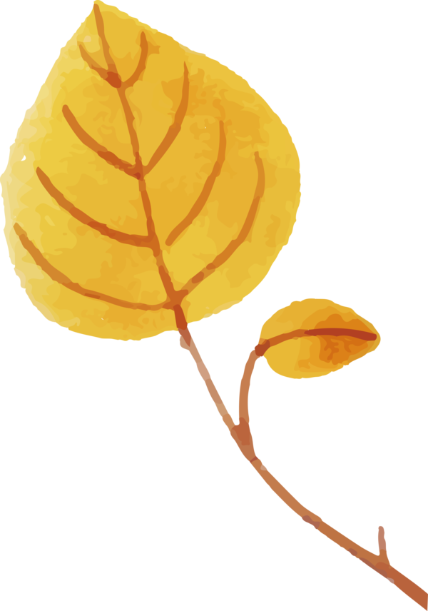 Transparent Thanksgiving Plant stem Leaf Petal for Fall Leaves for Thanksgiving