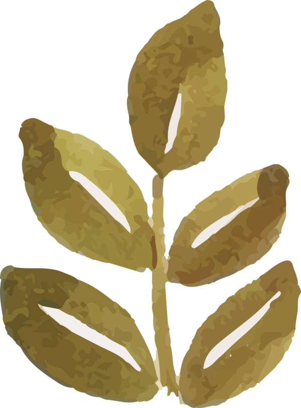 Transparent Thanksgiving Leaf Commodity Font for Fall Leaves for Thanksgiving