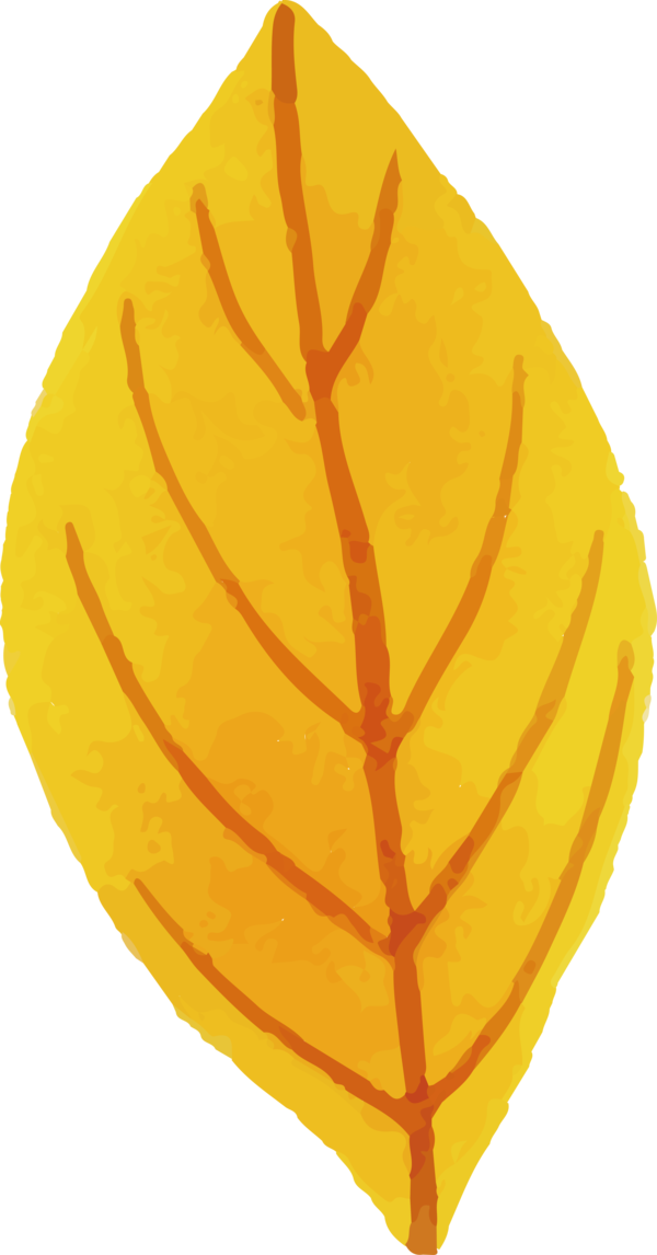 Transparent Thanksgiving Leaf Commodity Tree for Fall Leaves for Thanksgiving