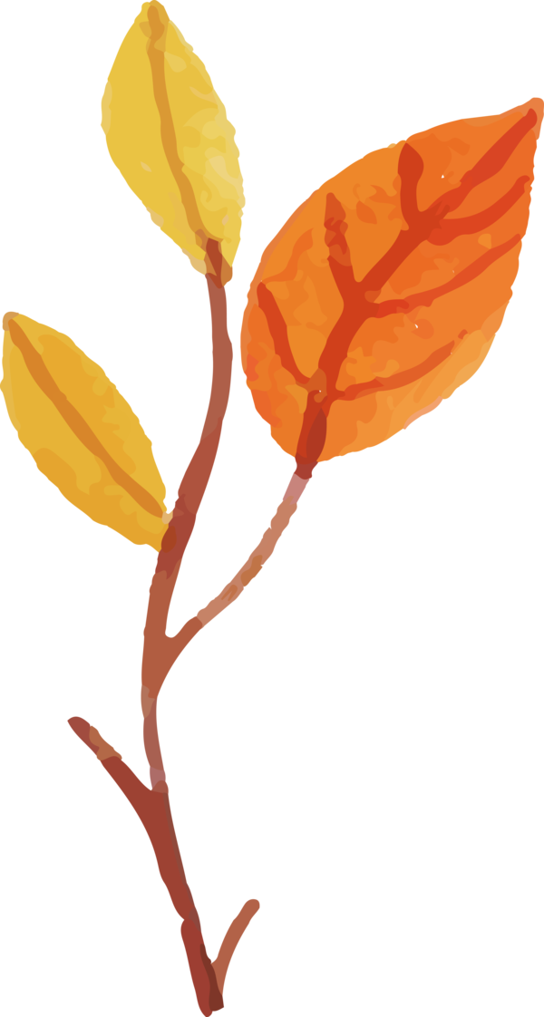 Transparent Thanksgiving Plant stem Leaf Petal for Fall Leaves for Thanksgiving
