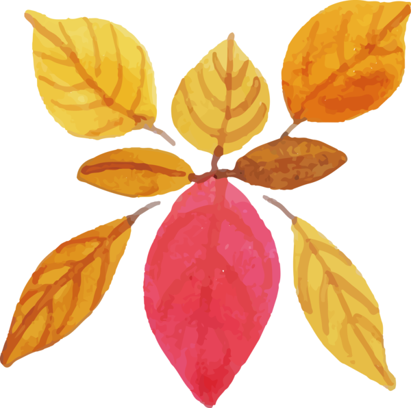 Transparent Thanksgiving Leaf Science Plants for Fall Leaves for Thanksgiving