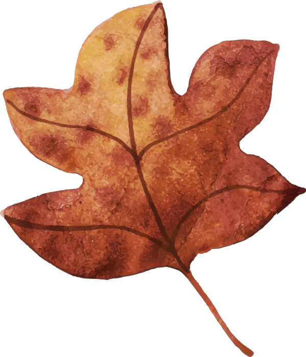 Transparent Thanksgiving Leaf Maple leaf Maple for Fall Leaves for Thanksgiving
