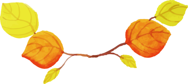 Transparent Thanksgiving Petal Yellow for Fall Leaves for Thanksgiving