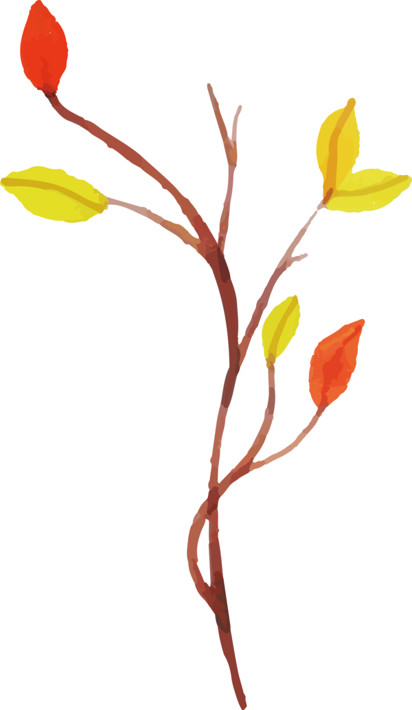 Transparent Thanksgiving Twig Plant stem Cut flowers for Fall Leaves for Thanksgiving