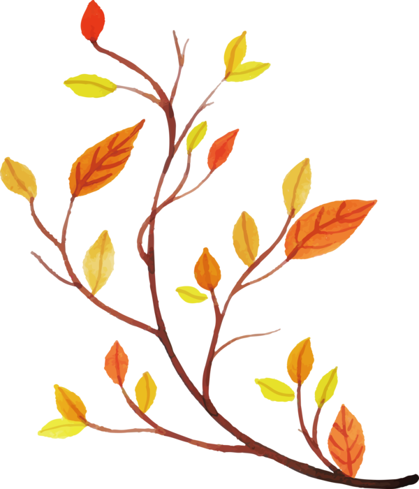Transparent Thanksgiving Twig Plant stem Floral design for Fall Leaves for Thanksgiving