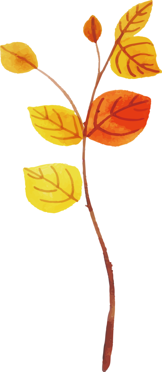 Transparent Thanksgiving Orange Paint Leaf for Fall Leaves for Thanksgiving
