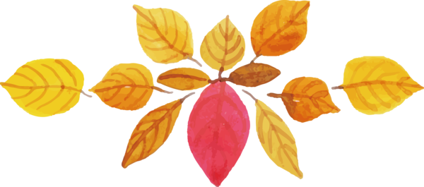 Transparent Thanksgiving Petal for Fall Leaves for Thanksgiving