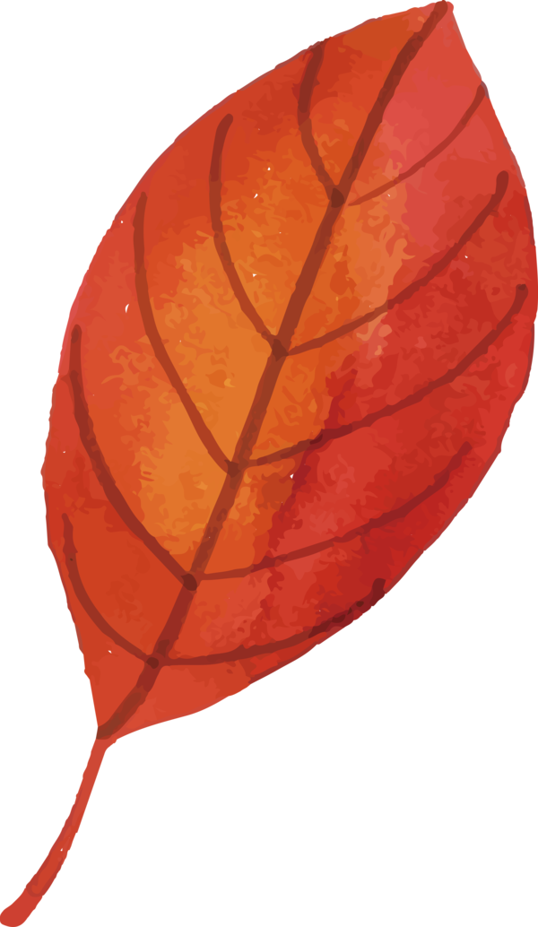 Transparent Thanksgiving Leaf Science Plants for Fall Leaves for Thanksgiving