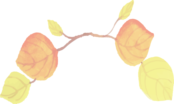 Transparent Thanksgiving Yellow Design Fruit for Fall Leaves for Thanksgiving