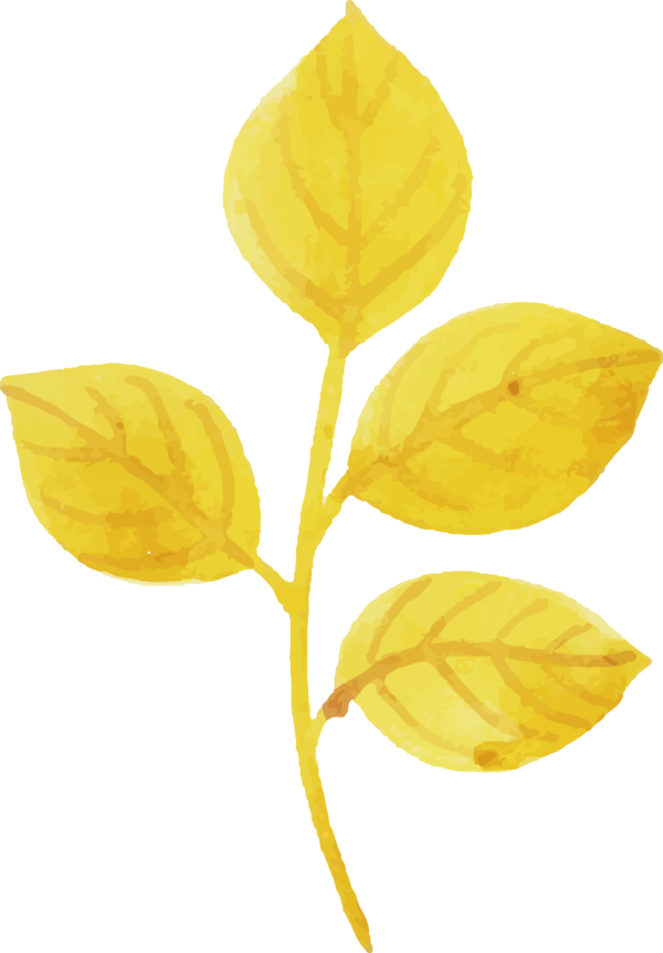 Transparent Thanksgiving Petal Leaf Yellow for Fall Leaves for Thanksgiving