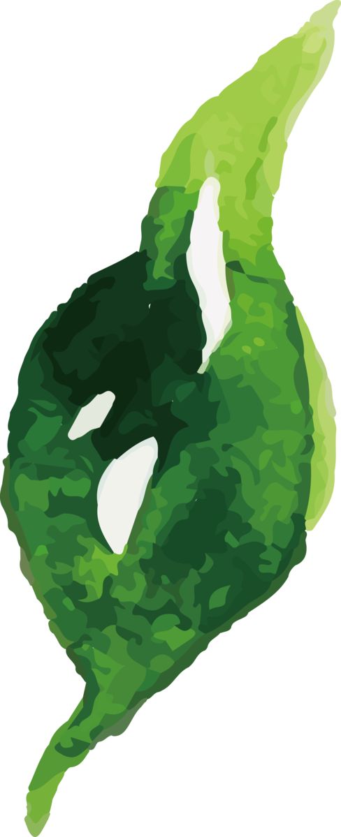 Transparent Thanksgiving Leaf Character Green for Fall Leaves for Thanksgiving