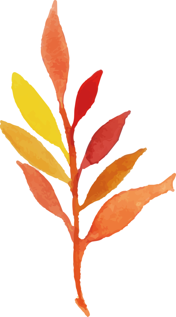 Transparent Thanksgiving Plant stem Twig Leaf for Fall Leaves for Thanksgiving