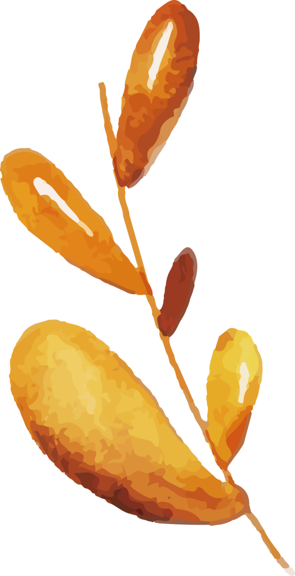 Transparent Thanksgiving Flower Fruit for Fall Leaves for Thanksgiving