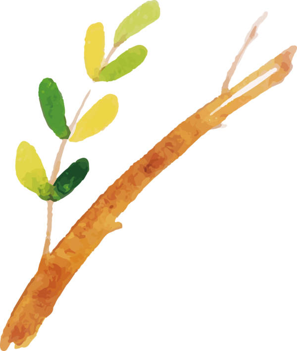 Transparent Thanksgiving Plant stem Twig Plants for Fall Leaves for Thanksgiving