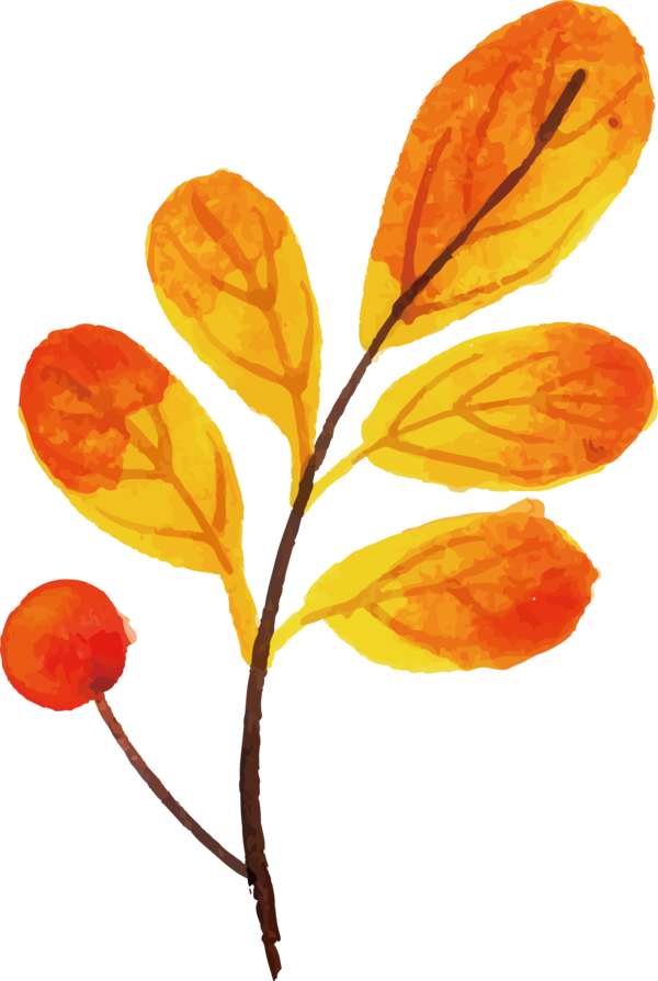Transparent Thanksgiving Plant stem Petal Leaf for Fall Leaves for Thanksgiving