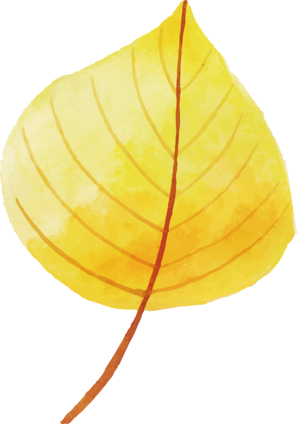 Transparent Thanksgiving Leaf Yellow Biology for Fall Leaves for Thanksgiving