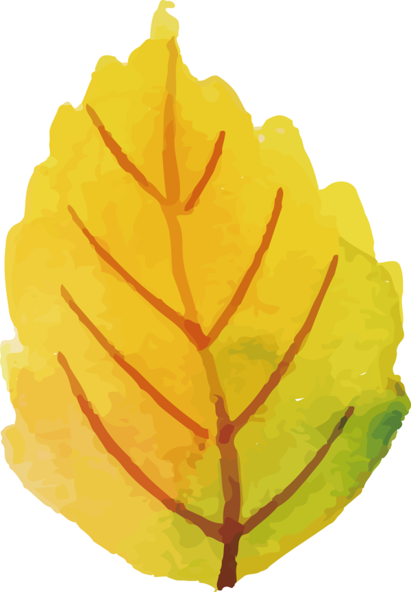 Transparent Thanksgiving Leaf Tree Fruit for Fall Leaves for Thanksgiving