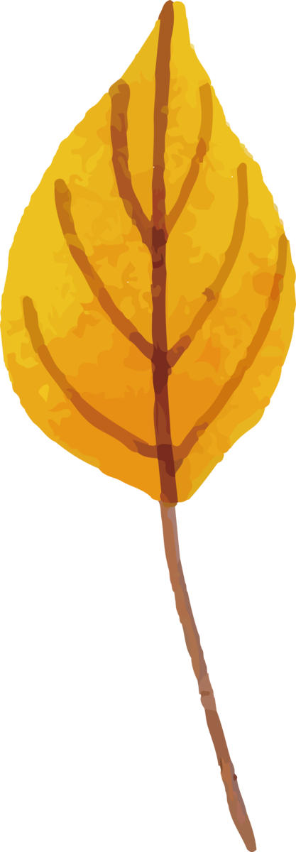 Transparent Thanksgiving Leaf Tree Biology for Fall Leaves for Thanksgiving