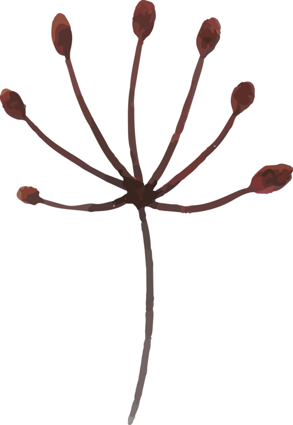 Transparent Thanksgiving Twig Design for Fall Leaves for Thanksgiving