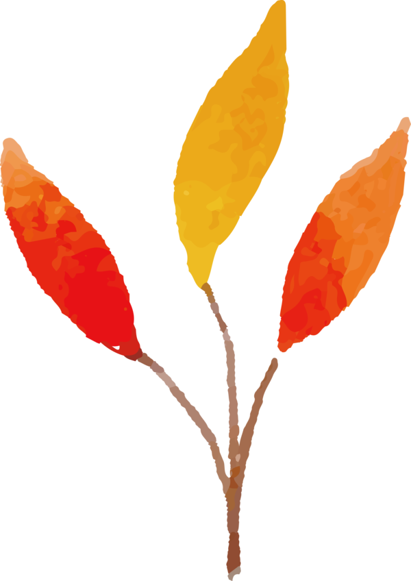 Transparent Thanksgiving Leaf Plant stem Petal for Fall Leaves for Thanksgiving