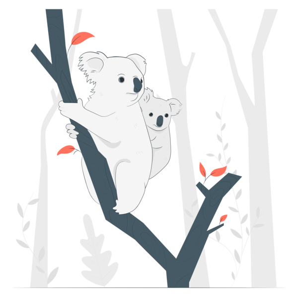 Transparent Family Day Koala Cartoon Bears for Happy Family Day for Family Day