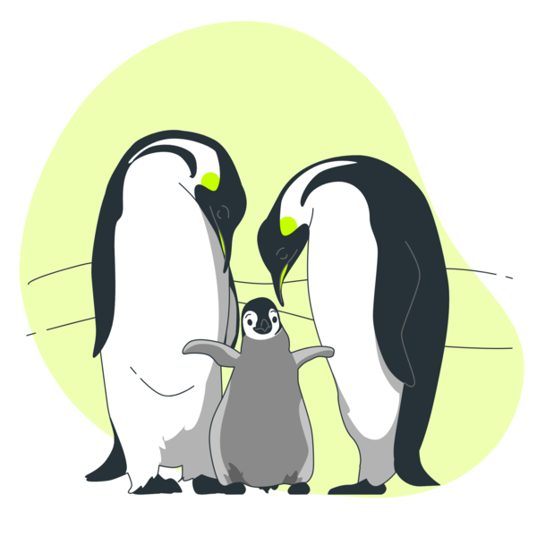 Transparent Family Day Penguins Design Adobe Premiere Pro for Happy Family Day for Family Day