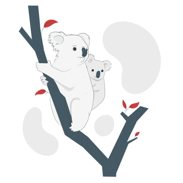 Transparent Family Day Koala Bears Cartoon for Happy Family Day for Family Day
