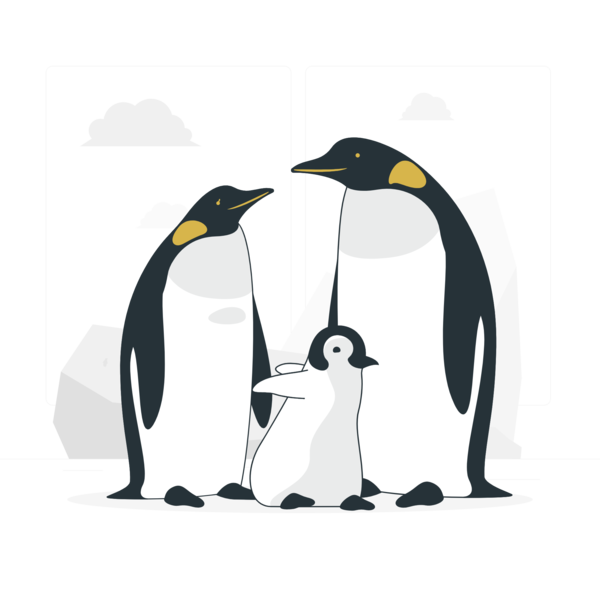 Transparent Family Day Penguins Drawing Adobe Illustrator for Happy Family Day for Family Day