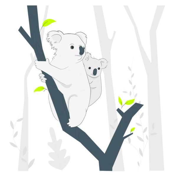 Transparent Family Day Koala Cartoon Bears for Happy Family Day for Family Day