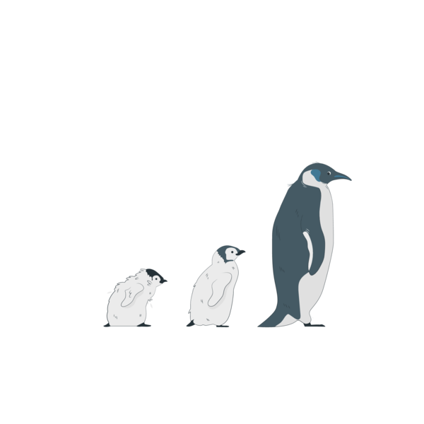 Transparent Family Day Penguins King penguin Royal penguin for Happy Family Day for Family Day