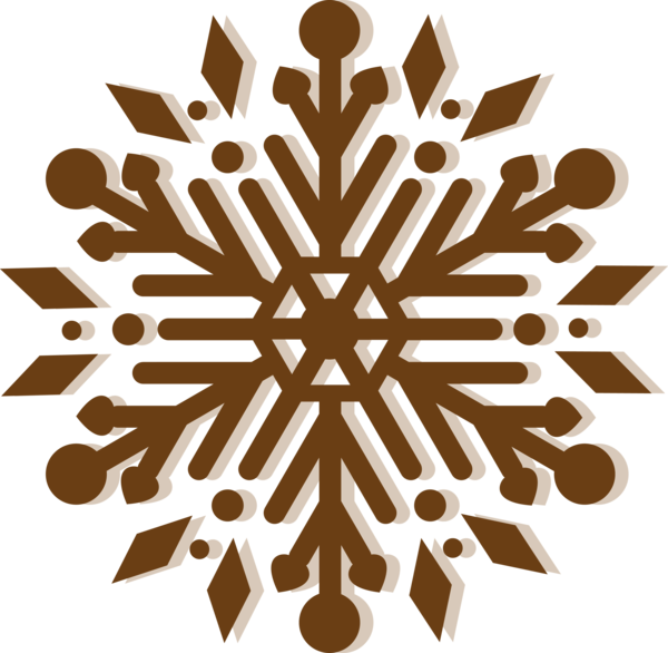 Transparent Christmas Coronavirus Snowflake Winter for Christmas Ornament for Christmas