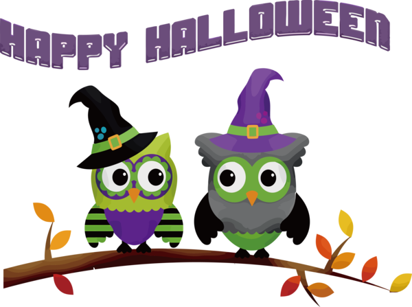 Transparent Halloween Owls Birds Barred Owl for Happy Halloween for Halloween