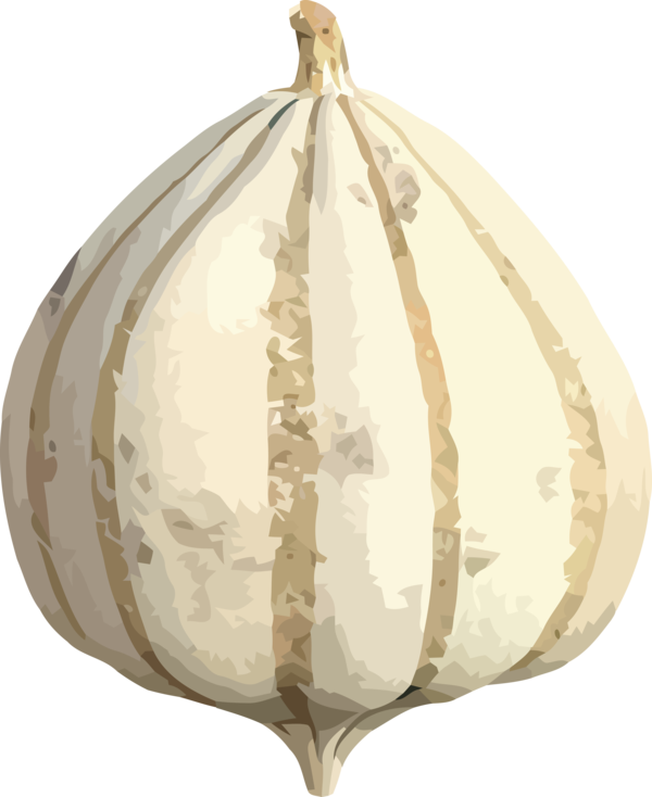Transparent Thanksgiving Commodity Design for Thanksgiving Pumpkin for Thanksgiving