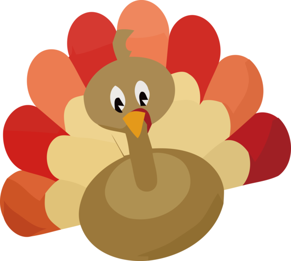 Transparent Thanksgiving Landfowl Birds Rooster for Happy Thanksgiving for Thanksgiving
