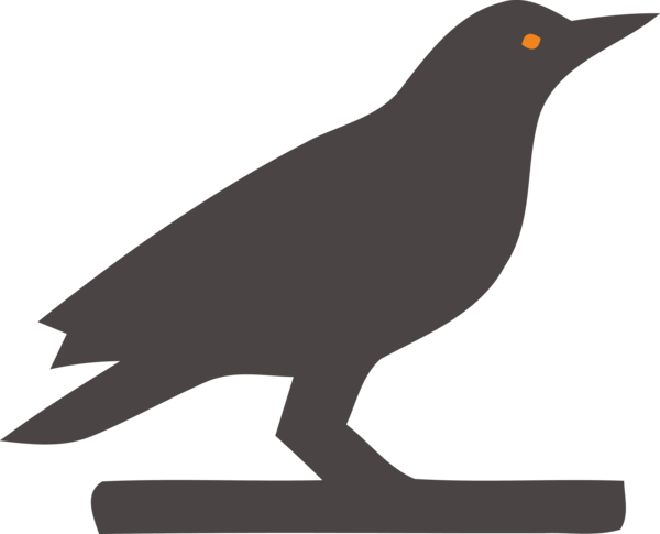 Transparent Halloween American crow Birds Crow for Happy Halloween for Halloween