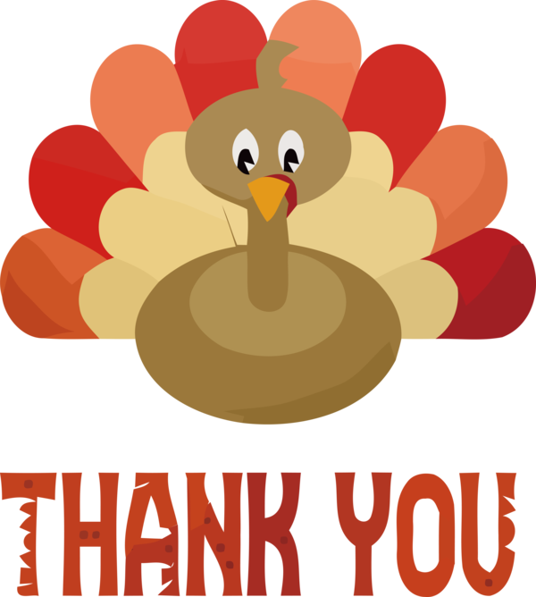 Transparent Thanksgiving Chicken Landfowl Logo for Happy Thanksgiving for Thanksgiving
