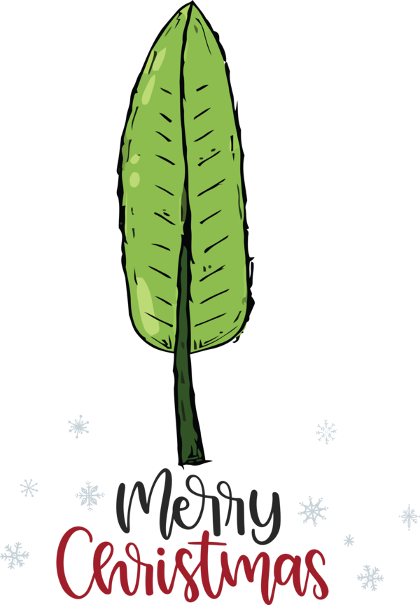 Transparent Christmas Leaf Plant stem Cartoon for Merry Christmas for Christmas