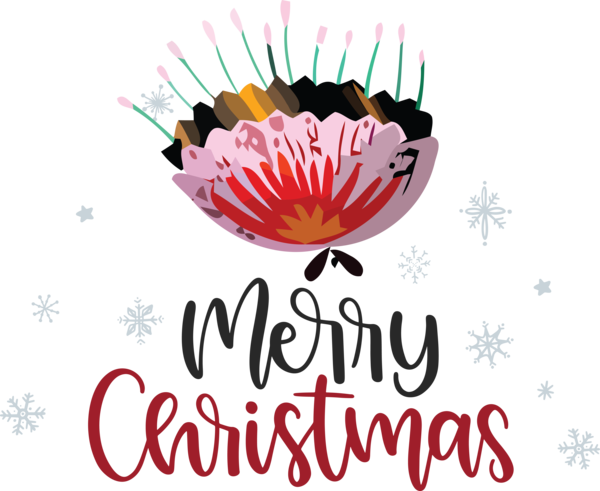 Transparent Christmas Logo Meter Flower for Merry Christmas for Christmas