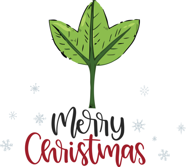 Transparent Christmas Leaf Plant stem Logo for Merry Christmas for Christmas