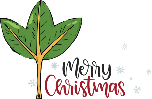 Transparent Christmas Leaf Plant stem Logo for Merry Christmas for Christmas