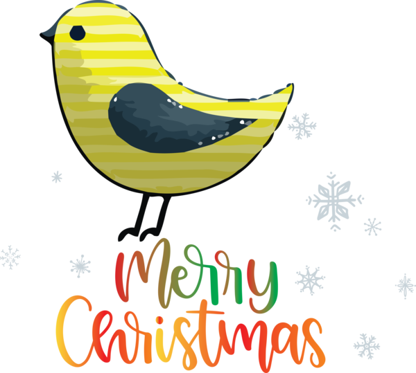 Transparent Christmas Birds Design Beak for Merry Christmas for Christmas