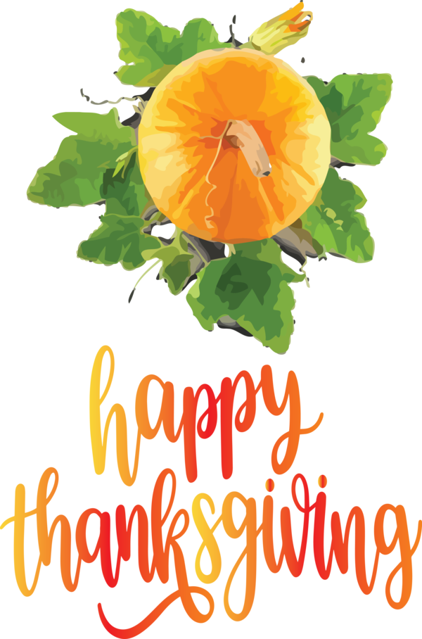 Transparent Thanksgiving Floral design Flower Natural foods for Happy Thanksgiving for Thanksgiving